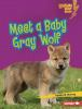 Meet_a_baby_gray_wolf