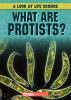 What_are_protists_