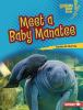 Meet_a_baby_manatee