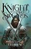 The_knight_with_two_swords