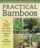 Practical_bamboos