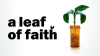 A_Leaf_of_Faith