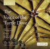 The_voice_of_the_turtle_dove